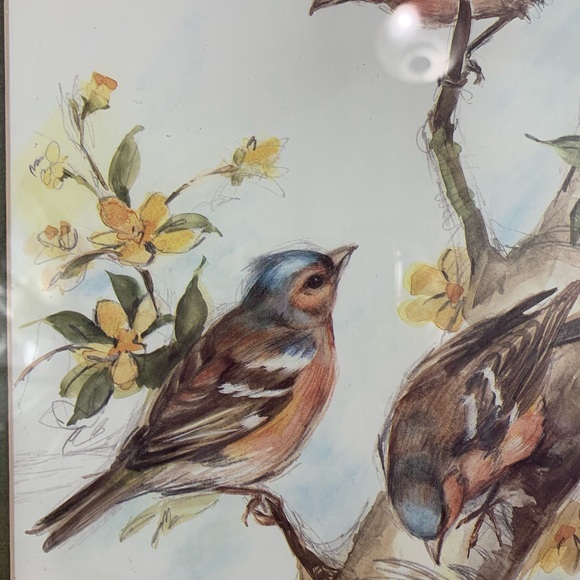 Framed birds print by Paul Whitney Hunter 16x13 - Picture 5 of 7